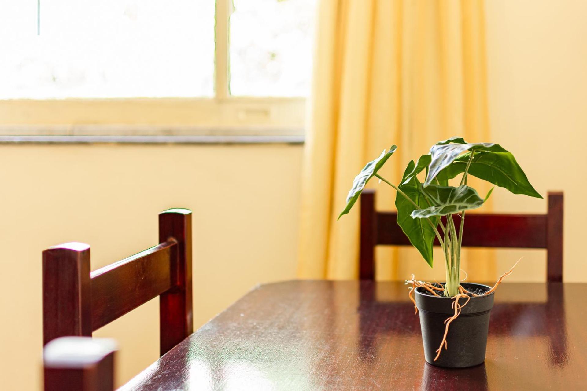 Simple Star Copacabana - Apartamento *